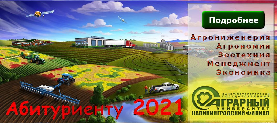 Калининградский филиал СПбГАУ — Официальный сайт